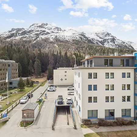 Ruben - Sunflower * St. Moritz