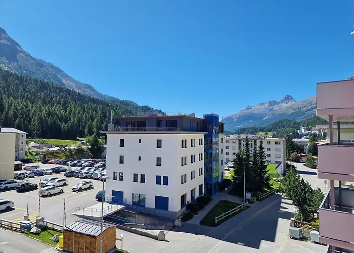 Ruben - Sunflower St. Moritz