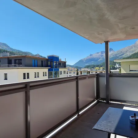 Ruben - Sunflower * St. Moritz