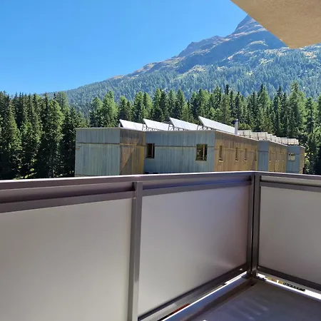 Ruben - Sunflower St. Moritz