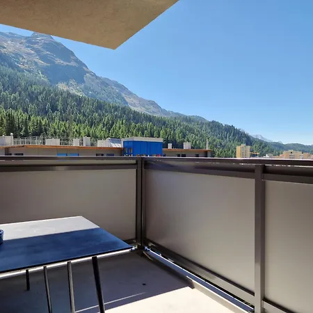 Ruben - Sunflower St. Moritz